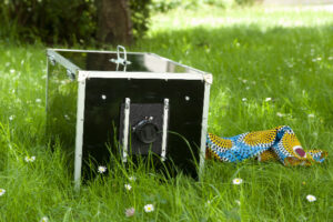 Making of portrait afghan box 2023