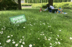 Making of portrait afghan box 2023