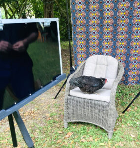 Making of portrait afghan box 2022